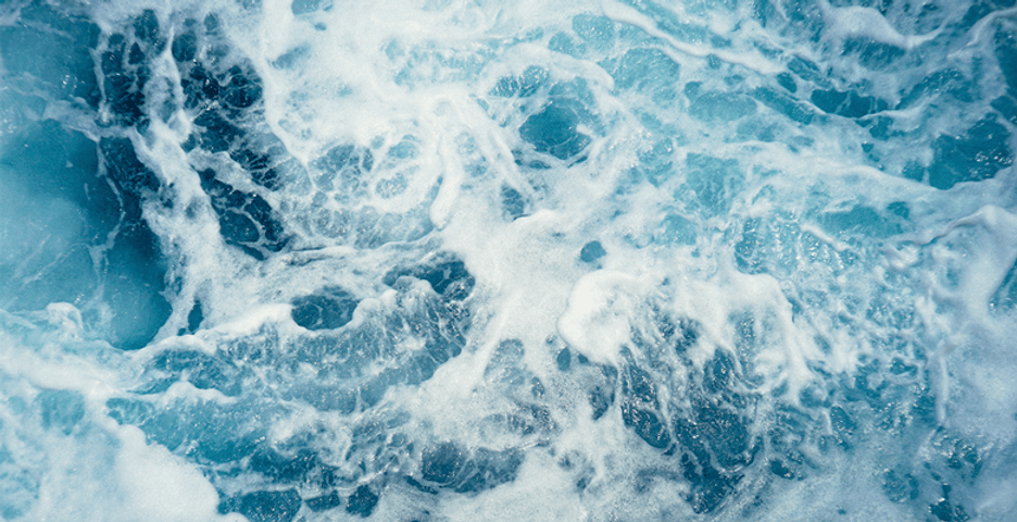 2024 Risk Outlook: Handle the Unknown | Drova